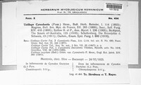 Ustilago cynodontis image